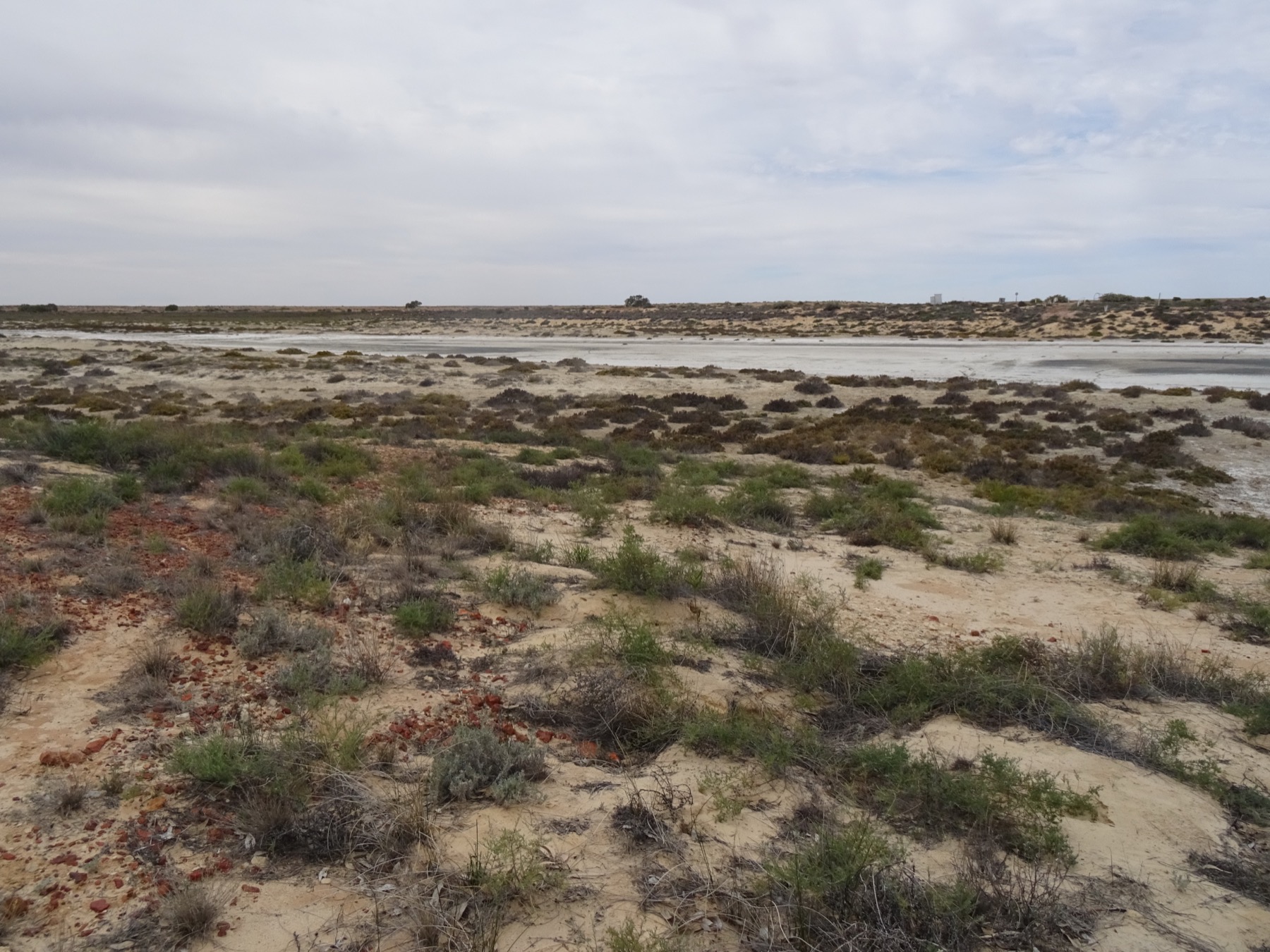 Cooper Creek landscape in South Australia